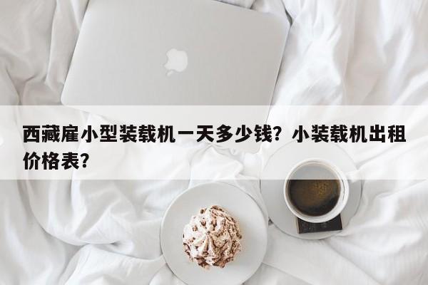 西藏雇小型装载机一天多少钱？小装载机出租价格表？