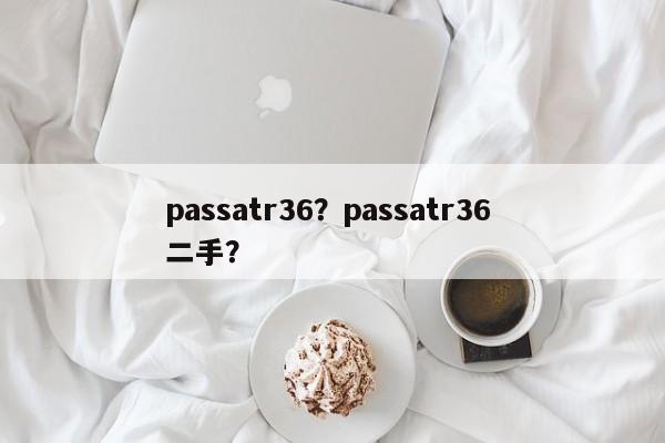 passatr36？passatr36 二手？