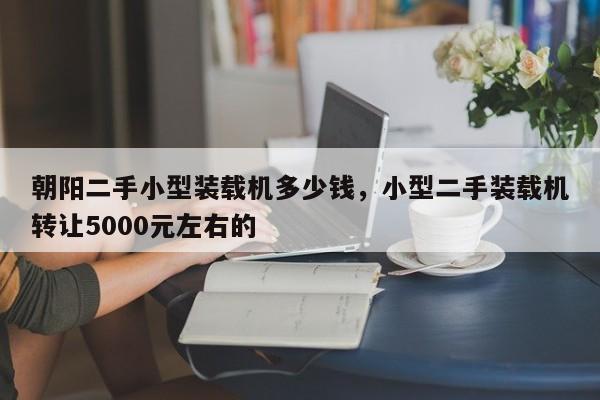 朝阳二手小型装载机多少钱，小型二手装载机转让5000元左右的