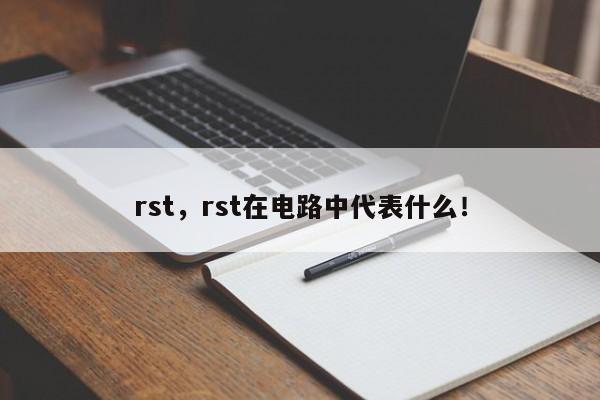 rst，rst在电路中代表什么！