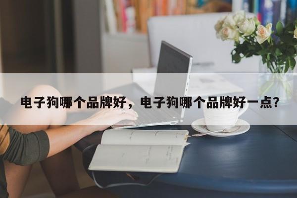 电子狗哪个品牌好，电子狗哪个品牌好一点？