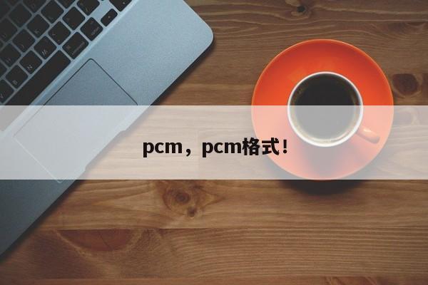 pcm，pcm格式！