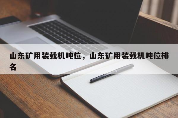 山东矿用装载机吨位，山东矿用装载机吨位排名