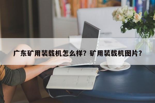 广东矿用装载机怎么样？矿用装载机图片？