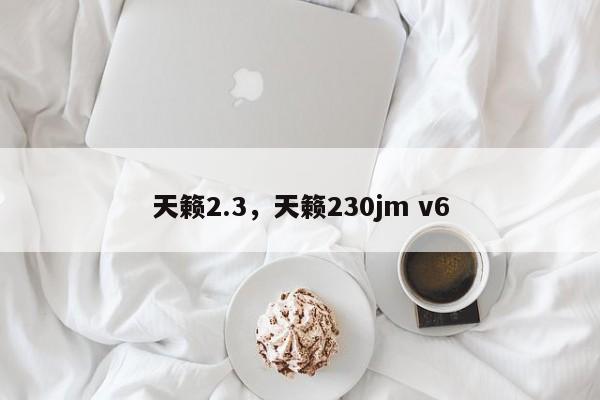 天籁2.3，天籁230jm v6