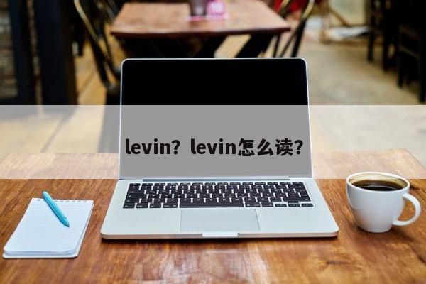 levin？levin怎么读？