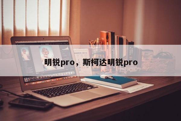 明锐pro，斯柯达明锐pro