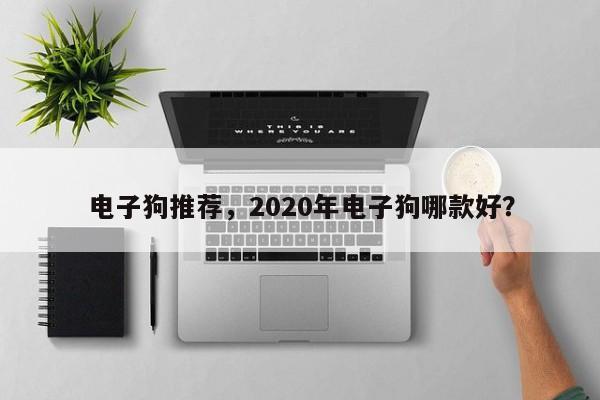 电子狗推荐，2020年电子狗哪款好？