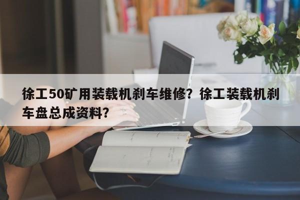 徐工50矿用装载机刹车维修？徐工装载机刹车盘总成资料？