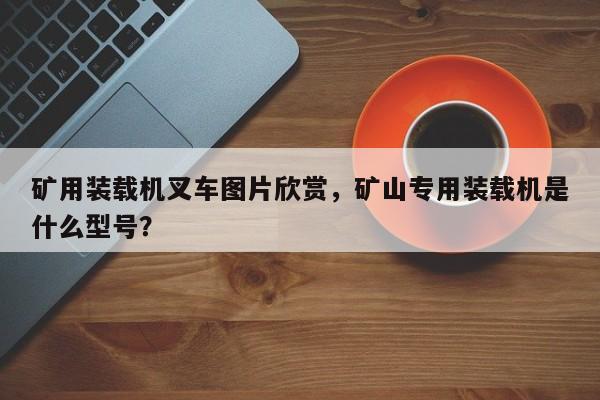 矿用装载机叉车图片欣赏，矿山专用装载机是什么型号？