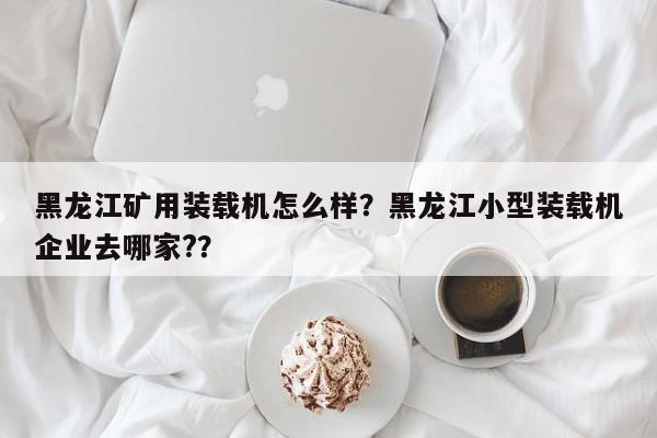 黑龙江矿用装载机怎么样？黑龙江小型装载机企业去哪家?？