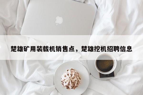 楚雄矿用装载机销售点，楚雄挖机招聘信息