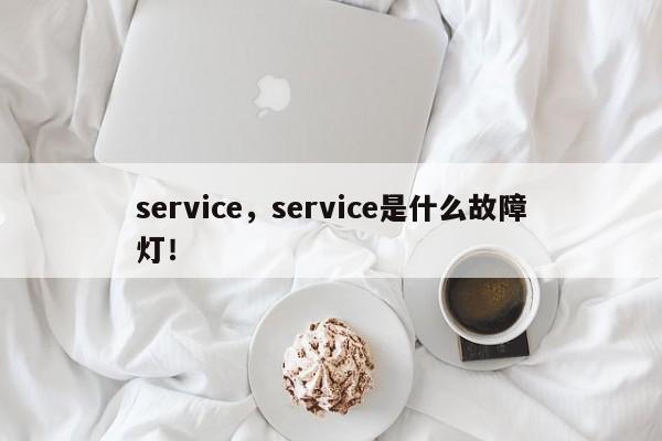 service，service是什么故障灯！