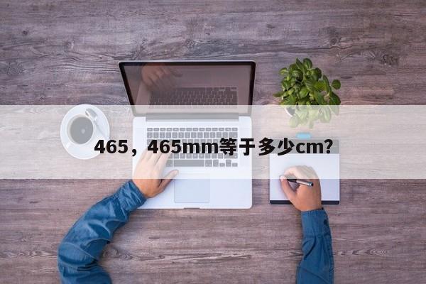 465，465mm等于多少cm？