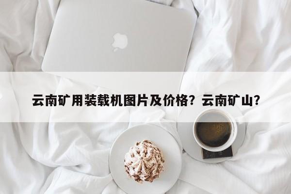 云南矿用装载机图片及价格？云南矿山？