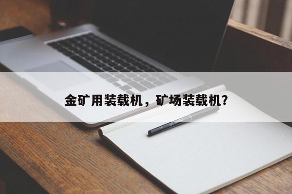 金矿用装载机，矿场装载机？