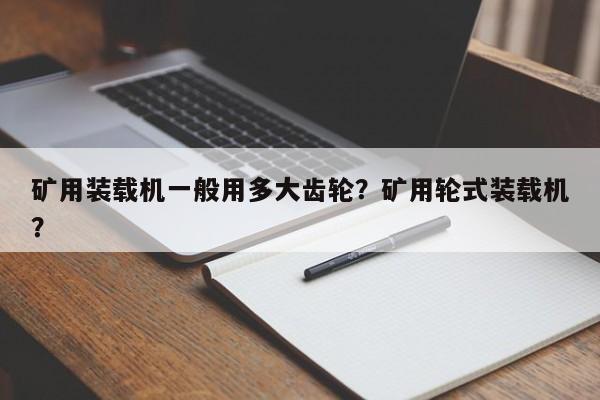 矿用装载机一般用多大齿轮？矿用轮式装载机？