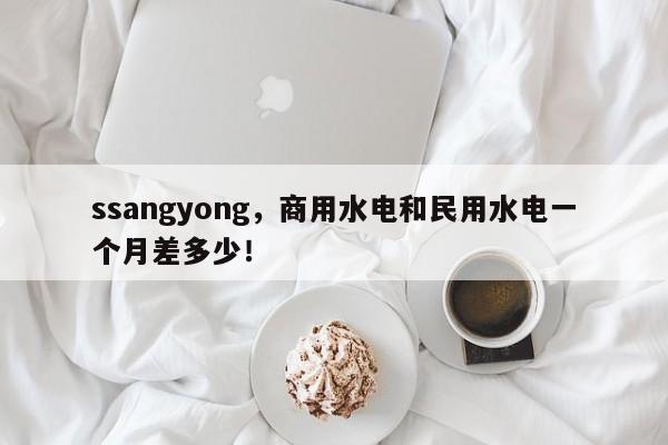 ssangyong，商用水电和民用水电一个月差多少！