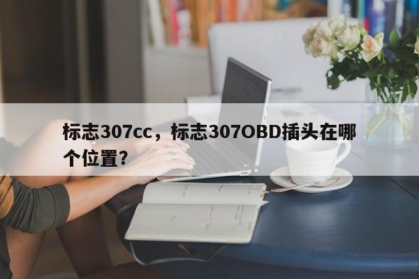 标志307cc，标志307OBD插头在哪个位置？