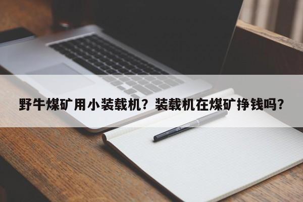 野牛煤矿用小装载机？装载机在煤矿挣钱吗？