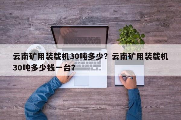 云南矿用装载机30吨多少？云南矿用装载机30吨多少钱一台？