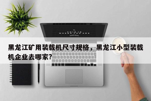 黑龙江矿用装载机尺寸规格，黑龙江小型装载机企业去哪家?