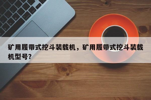 矿用履带式挖斗装载机，矿用履带式挖斗装载机型号？