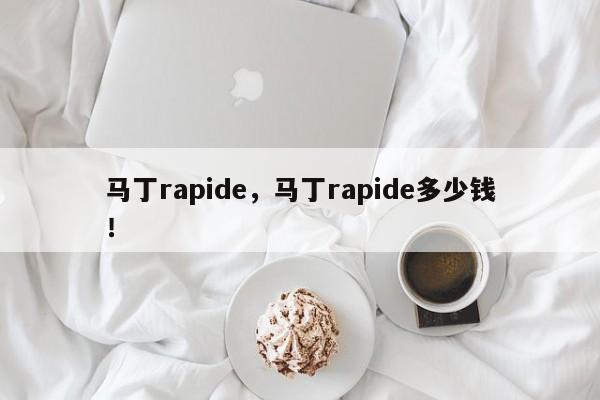 马丁rapide，马丁rapide多少钱！